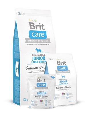 Picture of Brit Care Grain-free Junior Large Breed Salmon & Potato